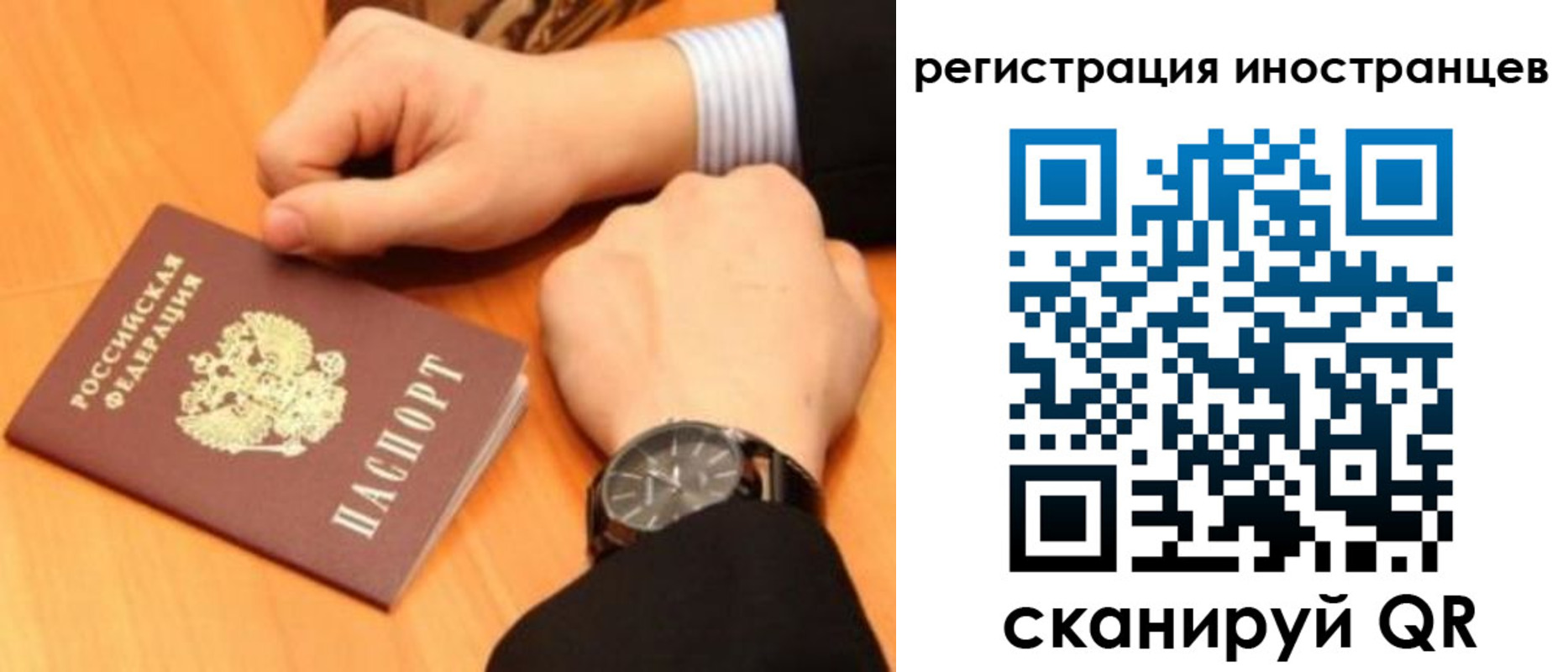 прописка гарантия в Снежногорске